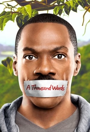 A Thousand Words (2012) Hindi Dual Audio 300MB